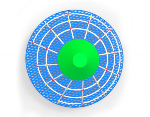 Pino - Imagen 2